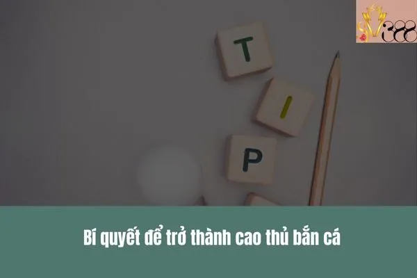 Bắn cá cực đã