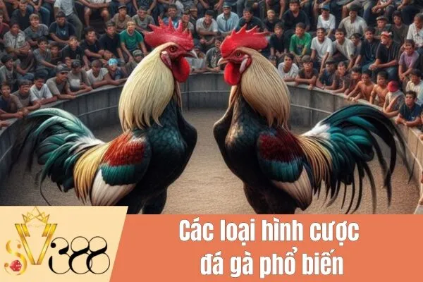 Cược đá gà online: Cơ hội kiếm tiền hấp dẫn và giải trí đỉnh cao