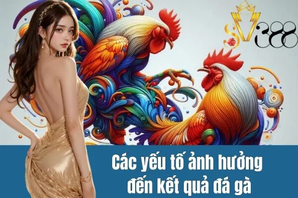 Kết quả đá gà
