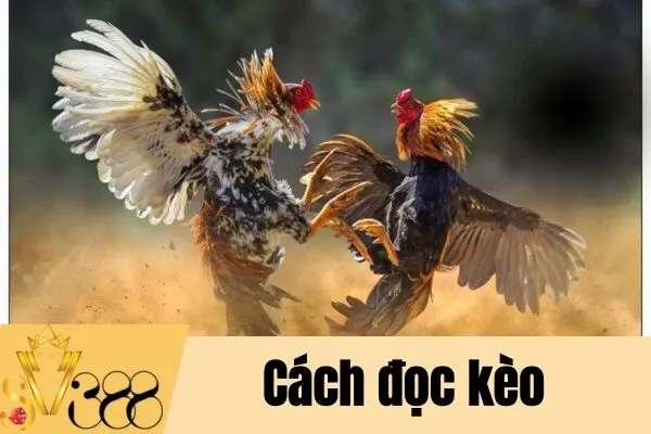 Đá gà qua điện thoại