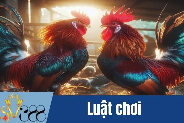 Đá gà trận lớn