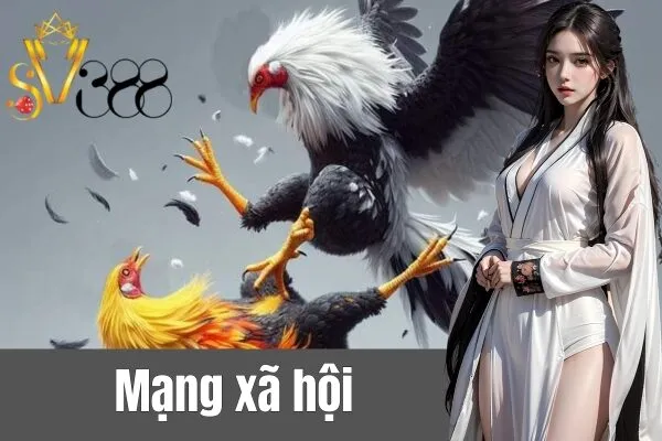 Kết quả đá gà