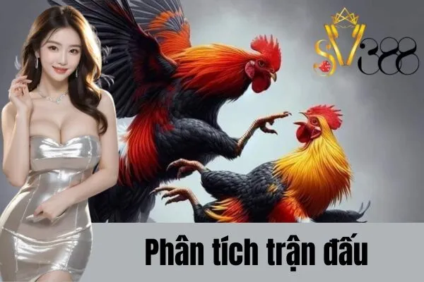 Đá Gà Thắng Cược