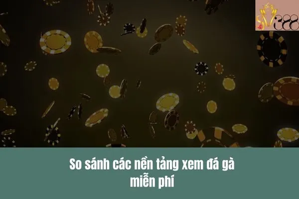 Xem đá gà miễn phí