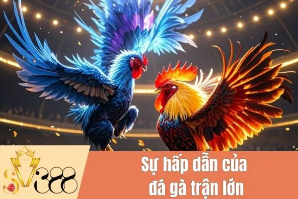 Đá gà trận lớn