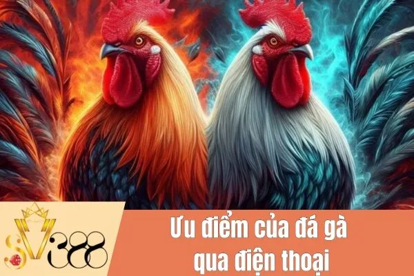Đá gà qua điện thoại